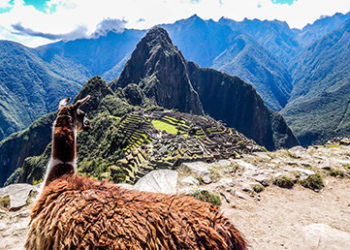 Full-day Machu Picchu tour from Cusco